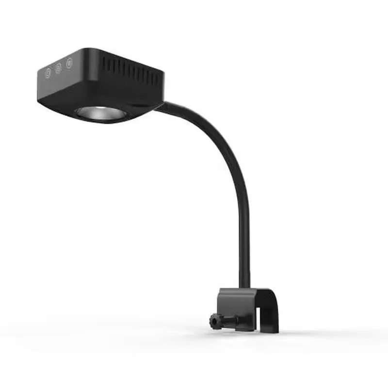 Aquarium Marine Color - Lüks Deniz Akvaryumu Dekoratif Aksesuarları LED