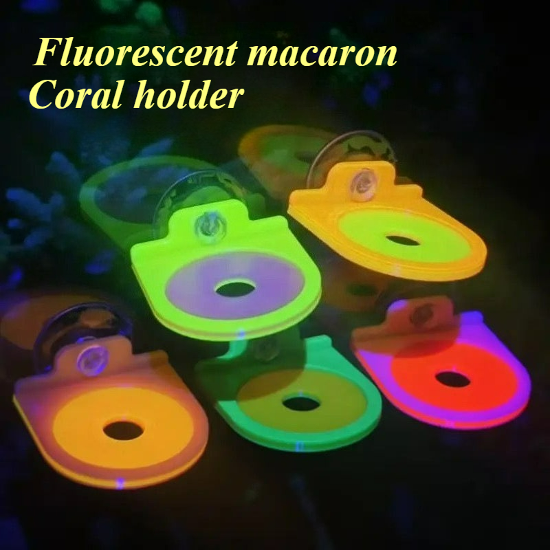 Aquarium Marine Color - Renk Rastgele Mercan Frag Tutucu Braketi