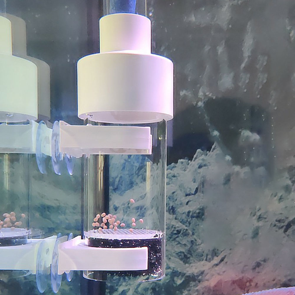 40mm Tumbler Kuluçka Balık Kul - Marine Aquarium Kit incelemesi ve fiyatı