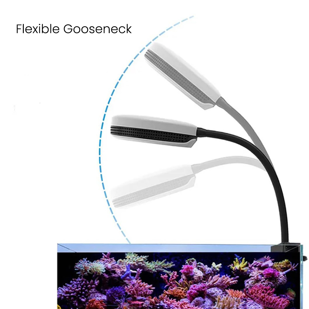 Spectra SP20 20W Akvaryum LED  - Aquarium Marine Fishes incelemesi ve fiyatı