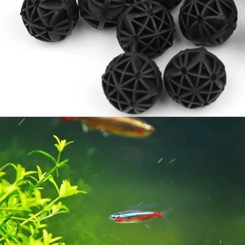 50 Adet 16mm Akvaryum Biyoloji - Marine Aquarium & Regional Centre Reviews incelemesi ve fiyatı