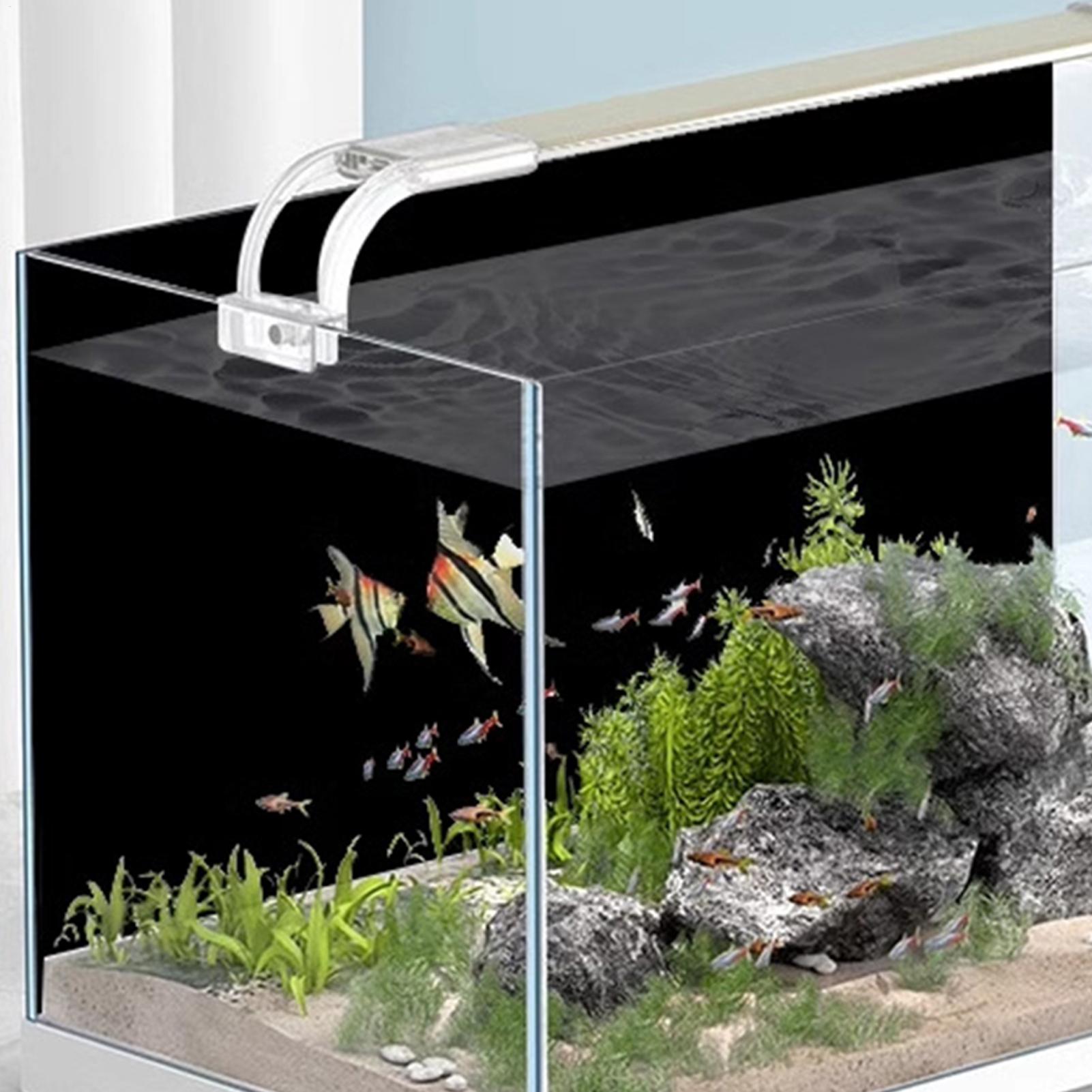 Balık Tankı Arka Plan Çıkartma - Marine Aquarium Glue incelemesi ve fiyatı