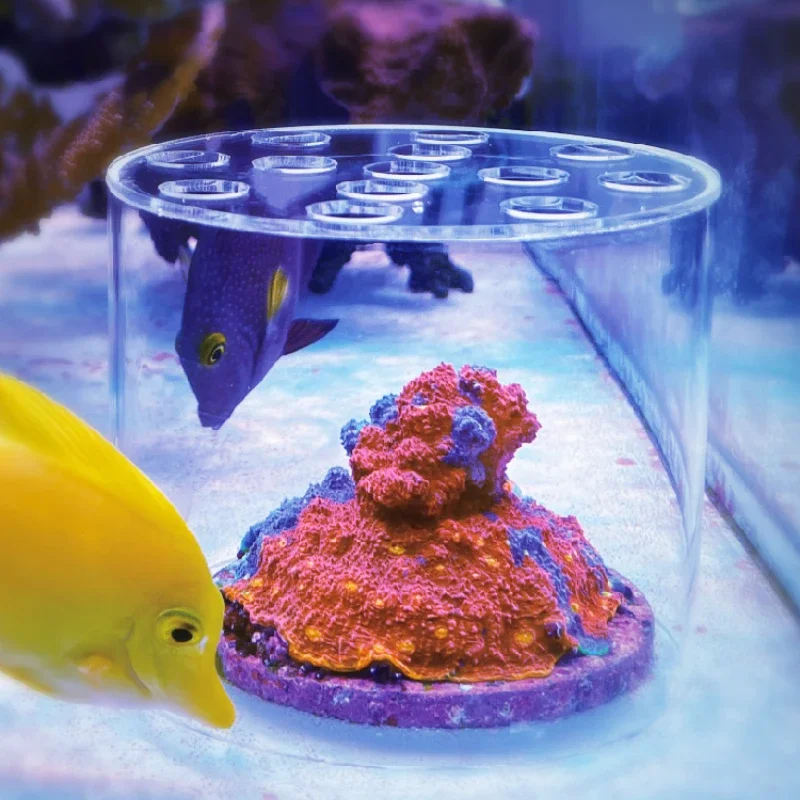 Vastocean Akvaryum Akrilik Mer - Marine Aquarium Glue incelemesi ve fiyatı