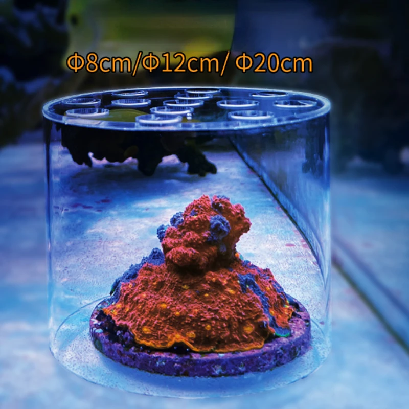 Vastocean Akvaryum Akrilik Mer - Marine Aquarium Glue incelemesi ve fiyatı
