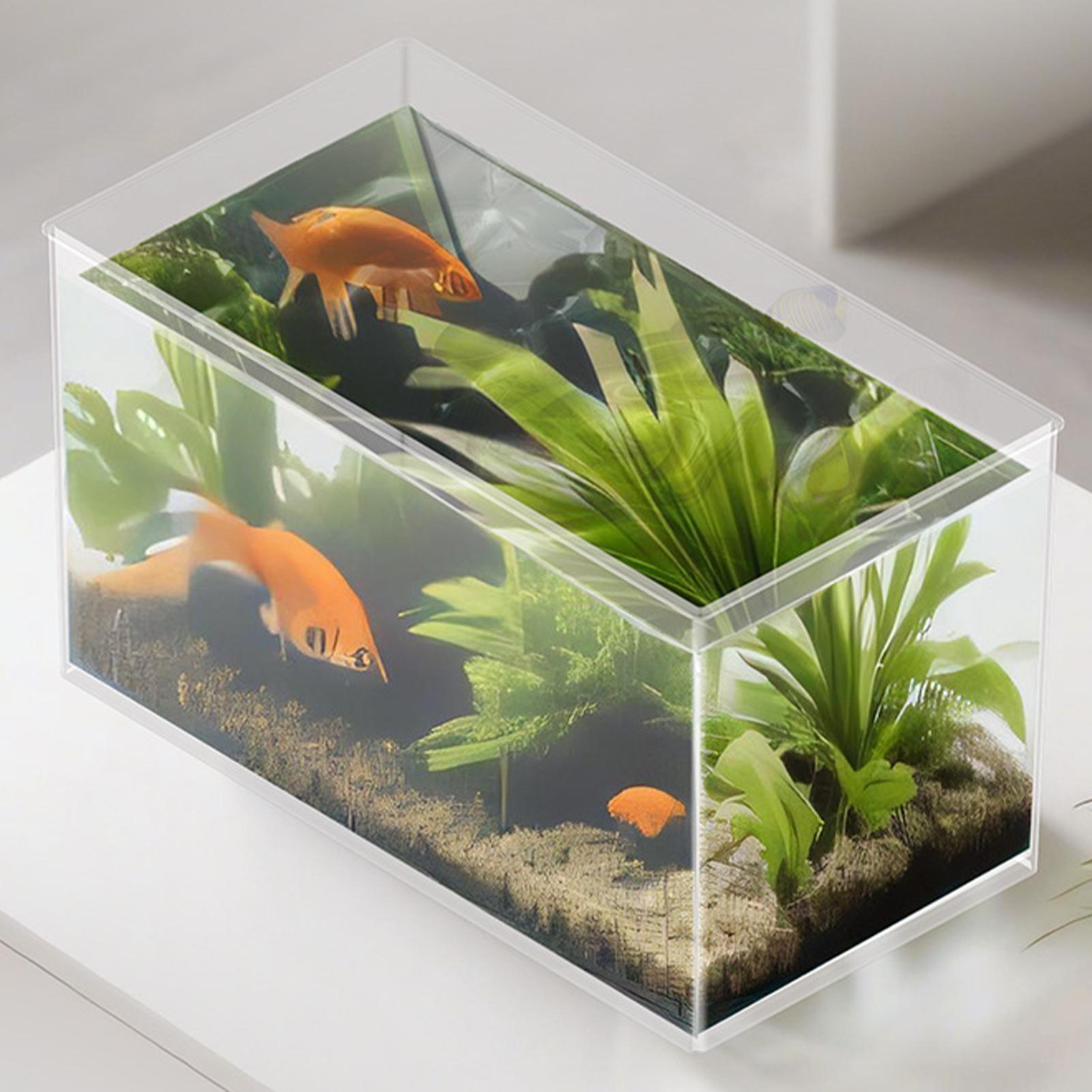 Küçük Balık Tankı Betta Tankı  - Marine Aquarium Kit incelemesi ve fiyatı