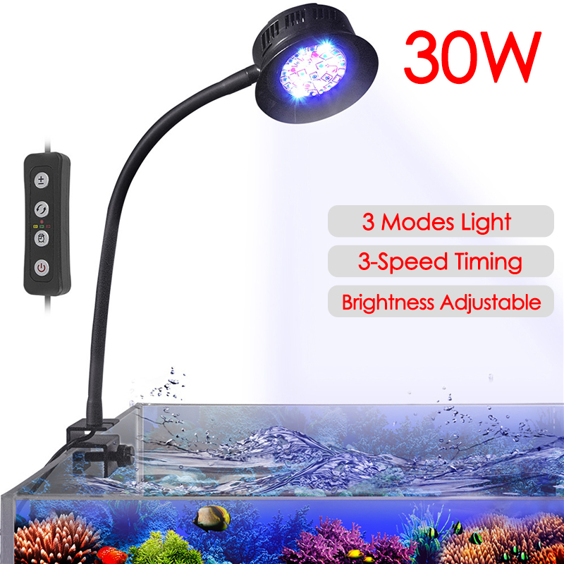 30W Akvaryum Balık Tankı Deniz - Aquarium Marine Fishes incelemesi ve fiyatı