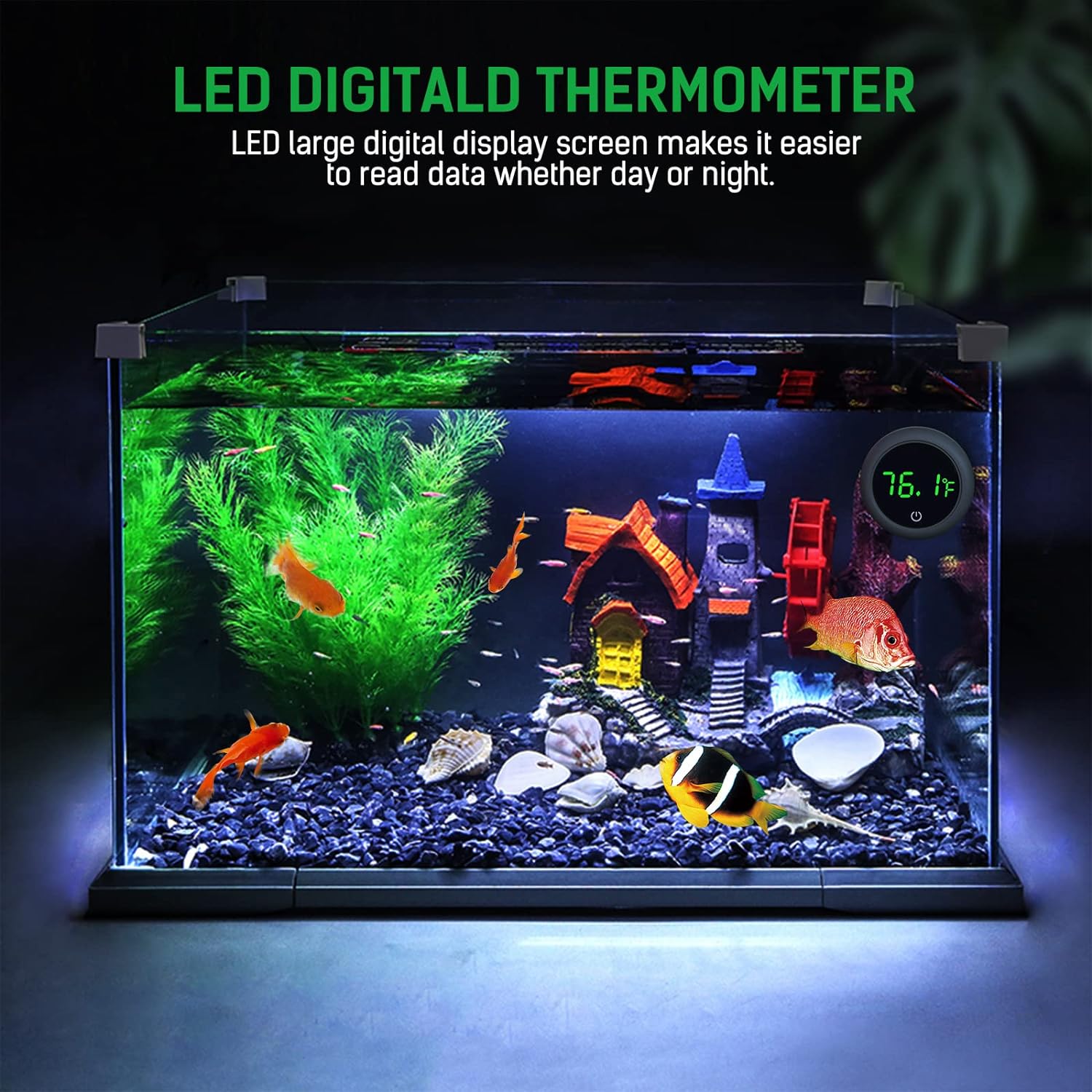 Kaplumbağa Su Hayvanları için  - Aquarium Marine Color incelemesi ve fiyatı