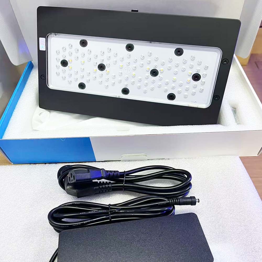 A8 III Moon Light Güçlü Deniz  - Aquarium Marine Fishes incelemesi ve fiyatı