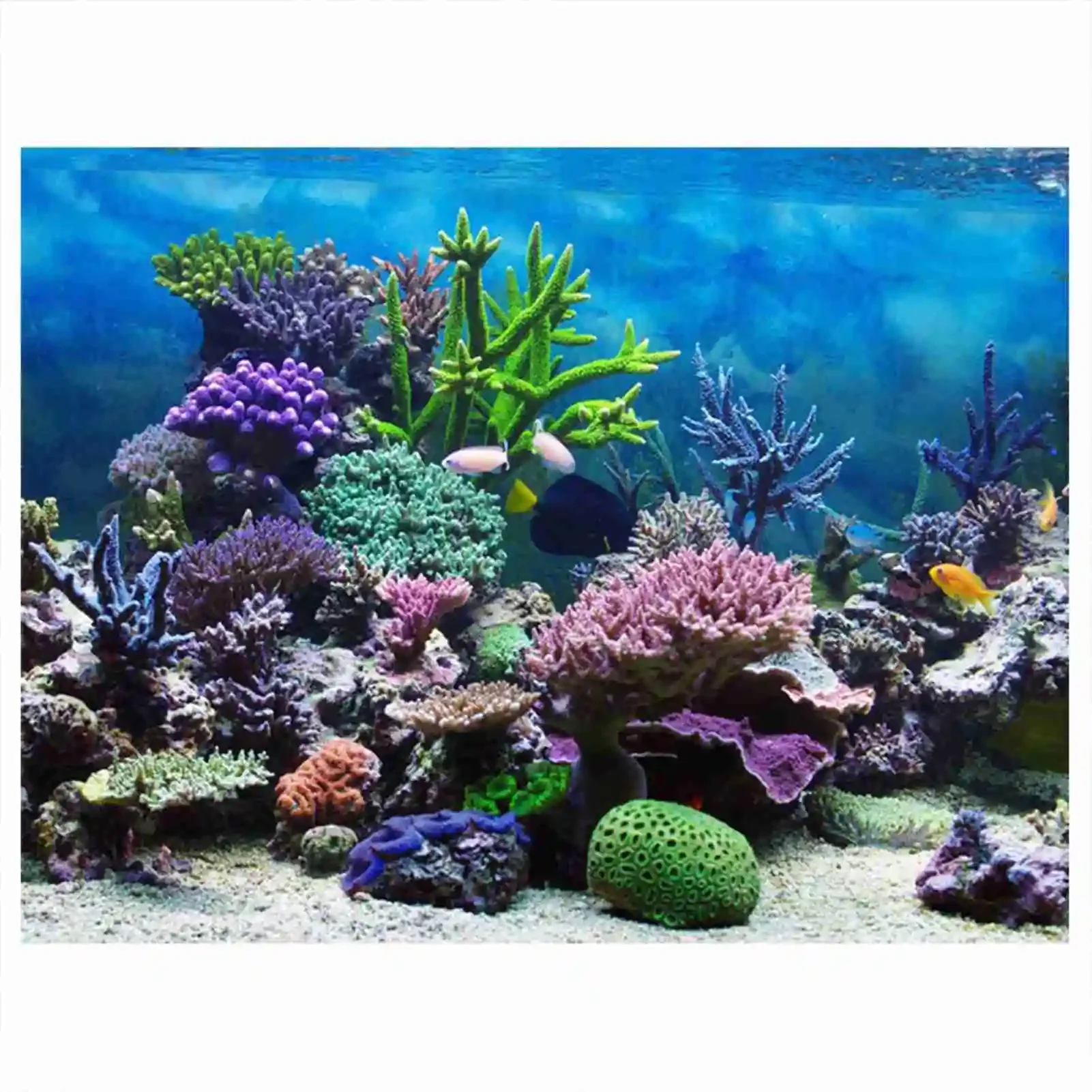 3D akvaryum manzara Poster Rai - Marine Aquarium Glue incelemesi ve fiyatı