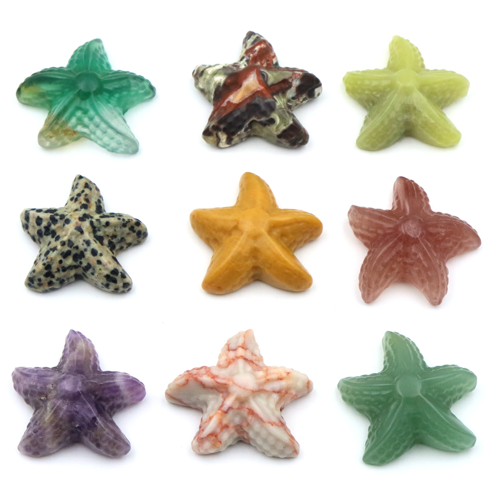 35mm Denizyıldızı Şekli Heykel - Marine Aquarium & Regional Centre Reviews incelemesi ve fiyatı
