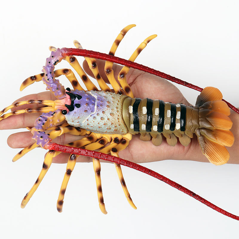 Gerçekçi Deniz Yaşamı Figürü A - Marine Aquarium Hermit Crab incelemesi ve fiyatı
