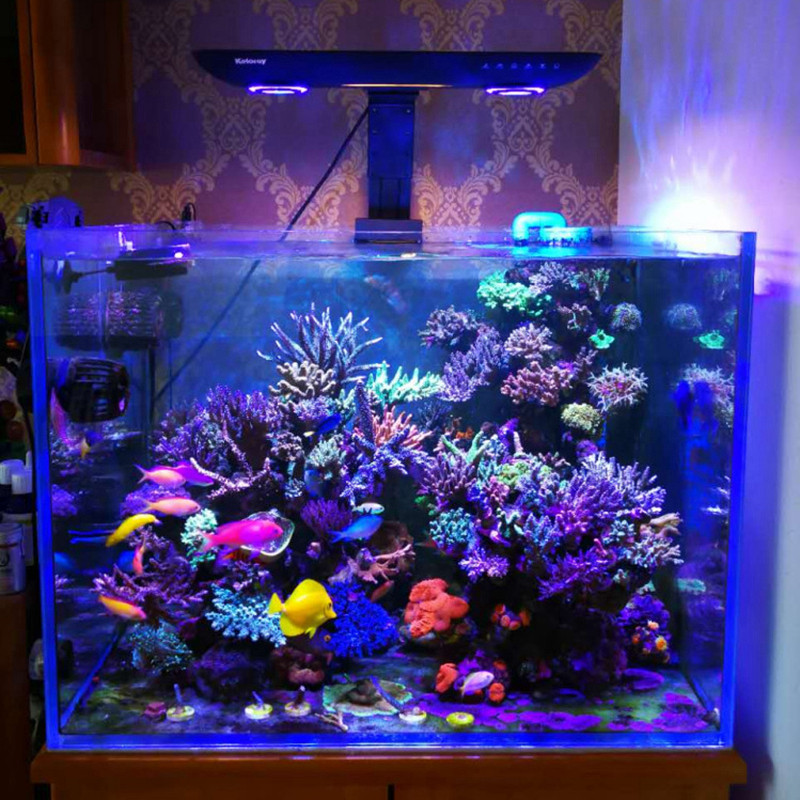 AE200 200W Akvaryum Mercan Res - Aquarium Marine Fishes incelemesi ve fiyatı